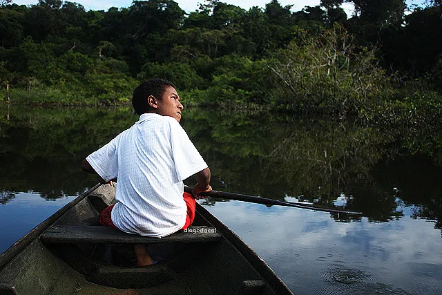 Floresta Encantada - canoa navegando entre árvores em floresta alagada de águas cristalinas
